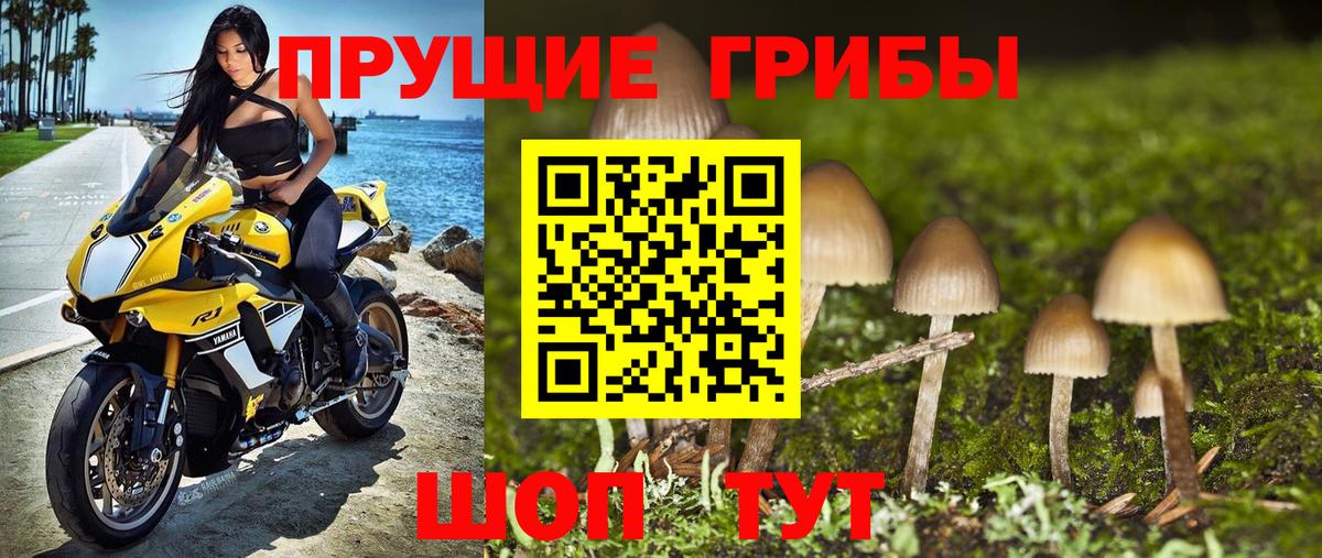 Галлюциногенные грибы Cubensis  Вход с VPN  Феодосия  Галлюциногенные грибы MAGIC MUSHROOMS 
